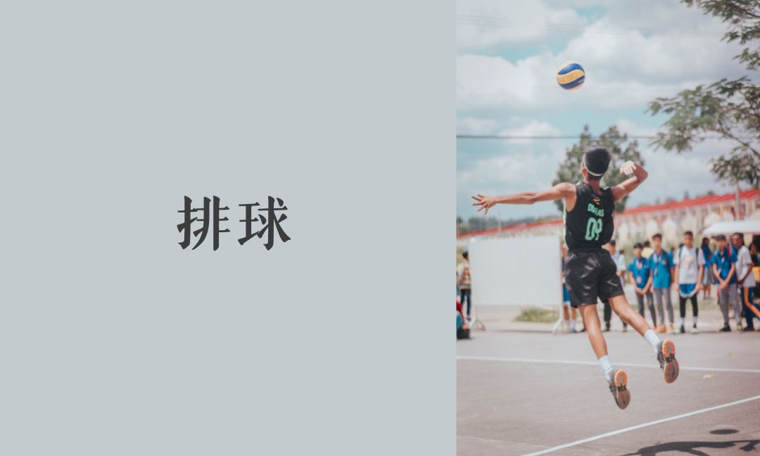 排球二[隨]
