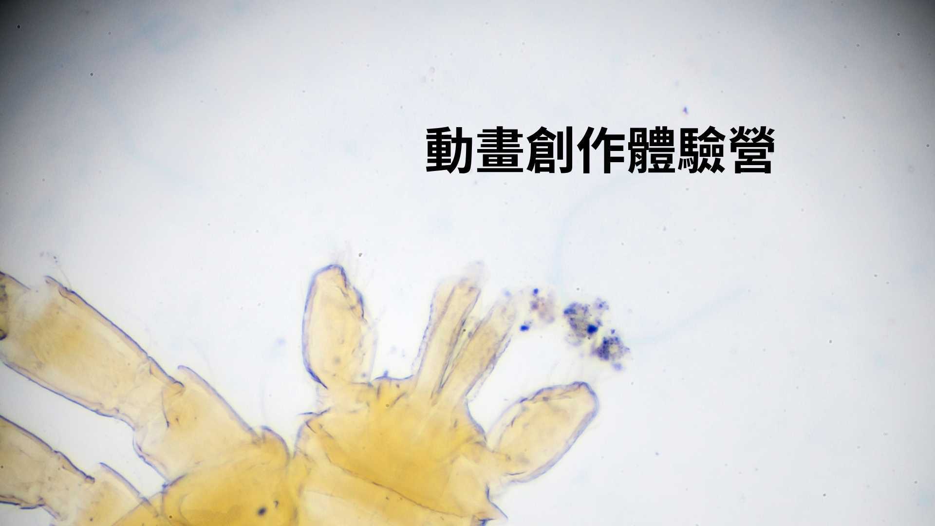 動畫創作體驗營[B]